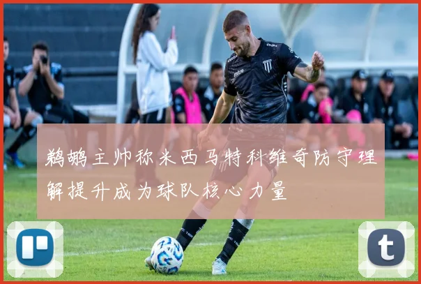 鹈鹕主帅称米西马特科维奇防守理解提升成为球队核心力量